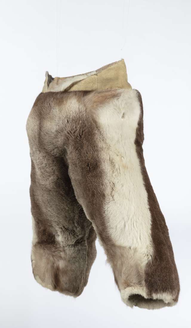 Pantalon de fourrure, vu de façon de profil, soulignant la forme large et la disposition des rayures verticales brunes et blanches. La bande de cuir retourné à la taille est plus basse à l’arrière qu’à l’avant.